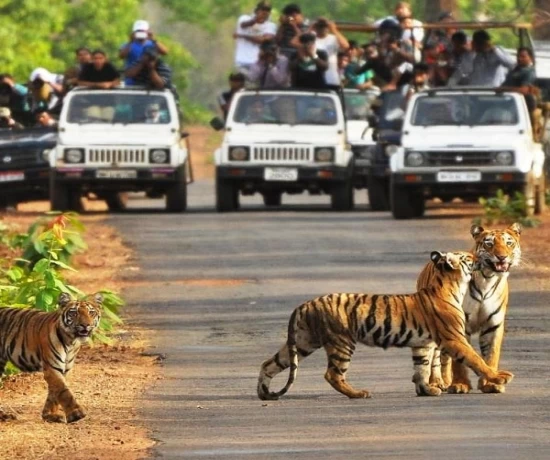 Jeep Safari