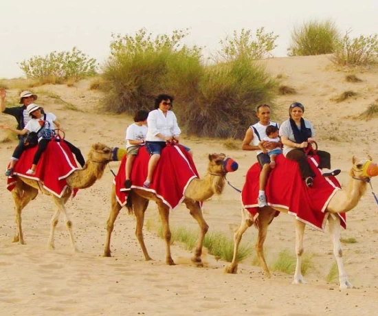 Camel Safari